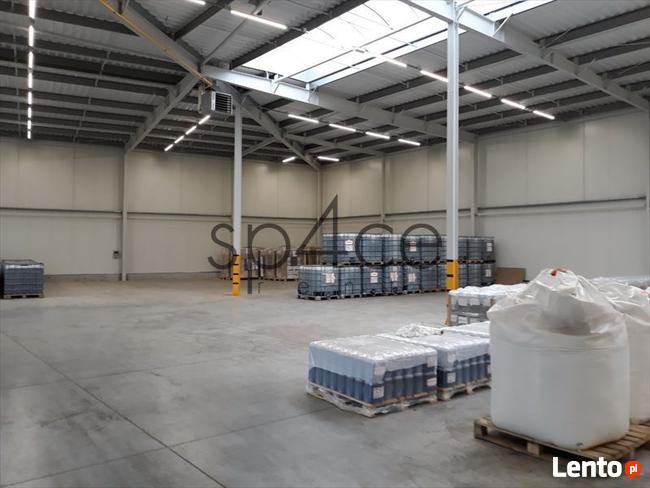 Hala/Magazyn, 5 670 m², Toruń