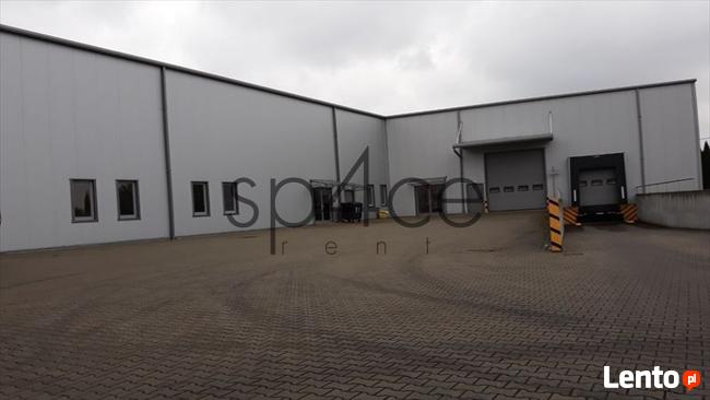 Hala/Magazyn, 5 670 m², Toruń