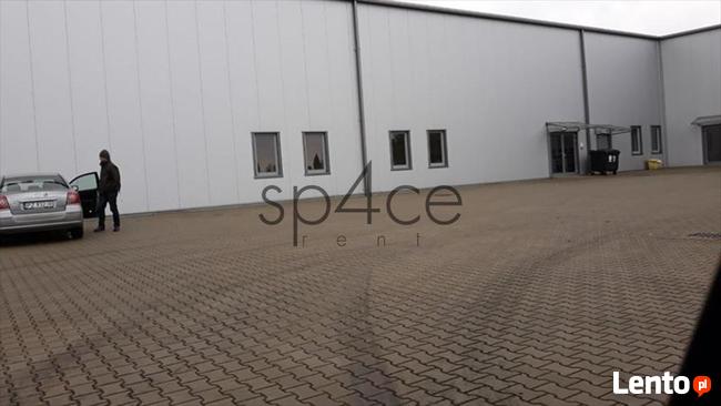 Hala/Magazyn, 5 670 m², Toruń