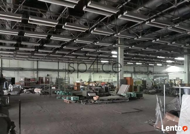 Hala/Magazyn, 6 800 m², Pruszków