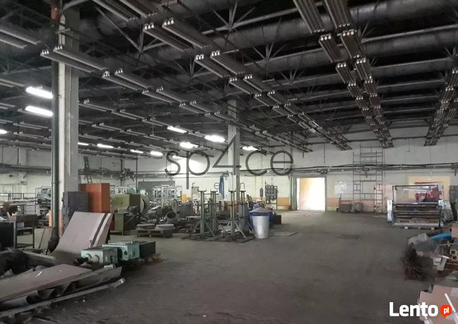 Hala/Magazyn, 6 800 m², Pruszków