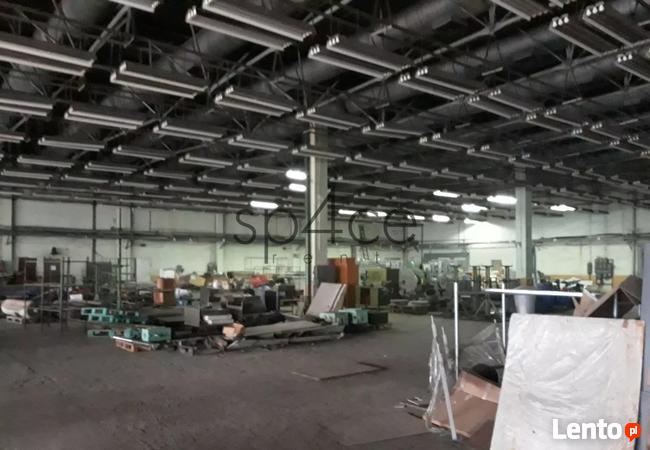 Hala/Magazyn, 6 800 m², Pruszków
