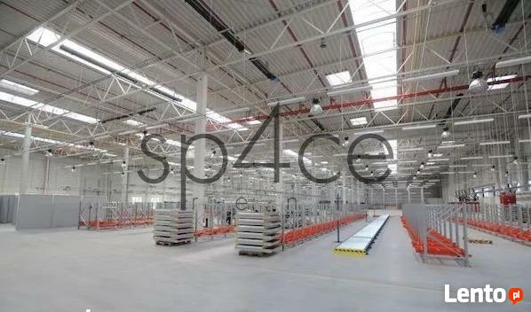 Hala/Magazyn, 4 000 m², Rogów Opolski