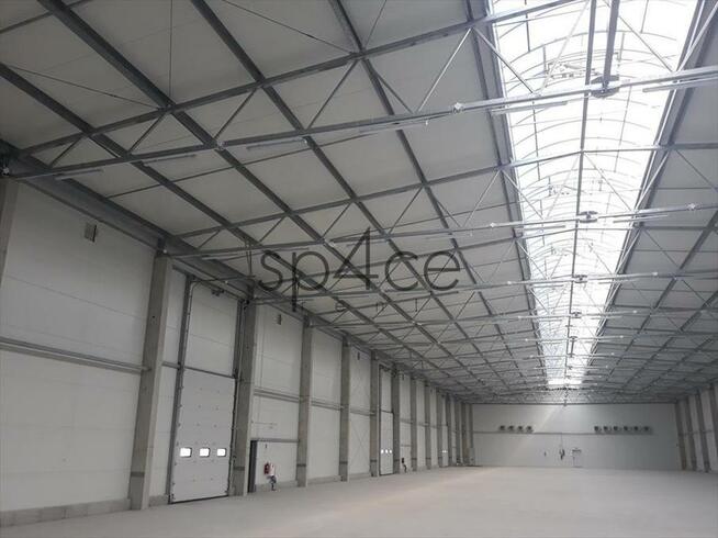 Hala/Magazyn, 10 000 m², Mysłowice - TANIO / teraz