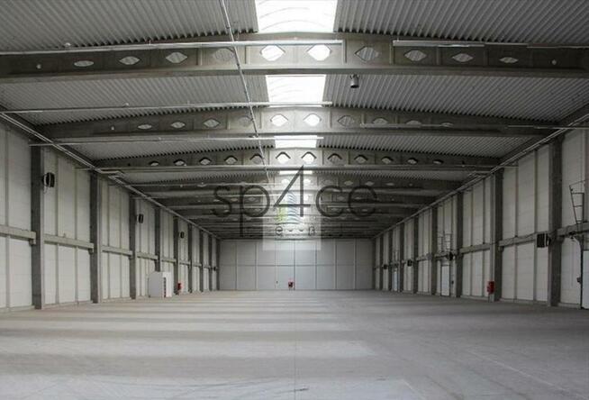 Hala/Magazyn, 10 000 m², Mysłowice - TANIO / teraz