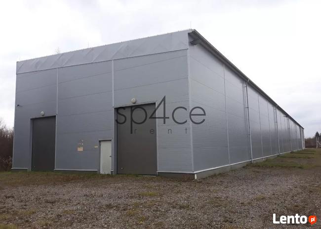 Hala/Magazyn, 3 500 m², Pruszków