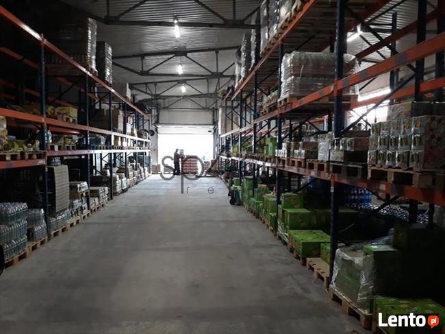 Hala/Magazyn, 6 000 m², Opole