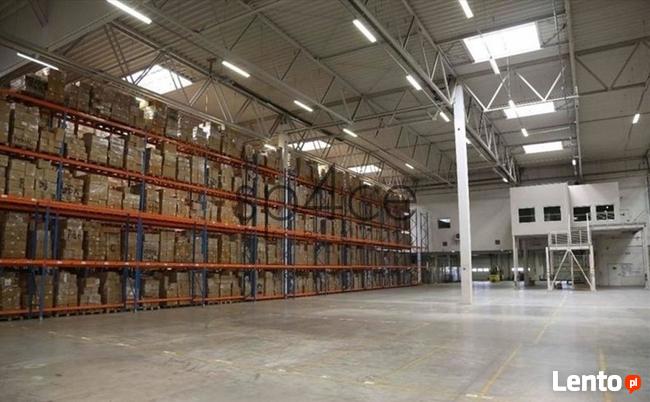 Hala/Magazyn, 10 000 m², Szczecin