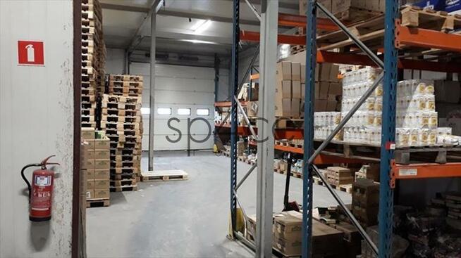 Hala/Magazyn, 3 878 m², Raszyn