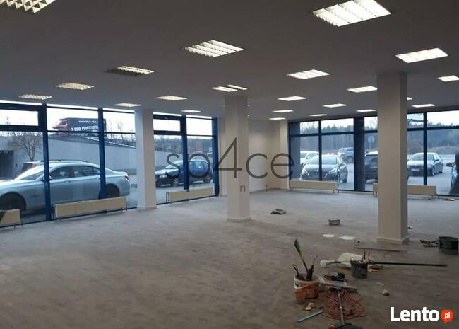 Hala/Magazyn, 5 300 m², Błonie