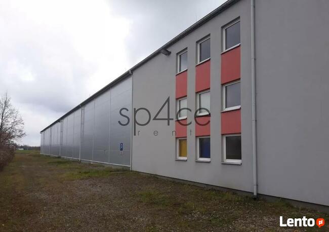 Hala/Magazyn, 5 300 m², Błonie