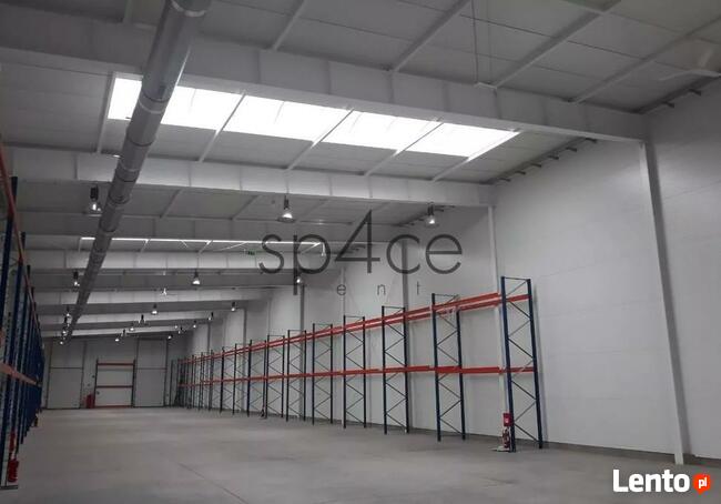 Hala/Magazyn, 5 300 m², Błonie