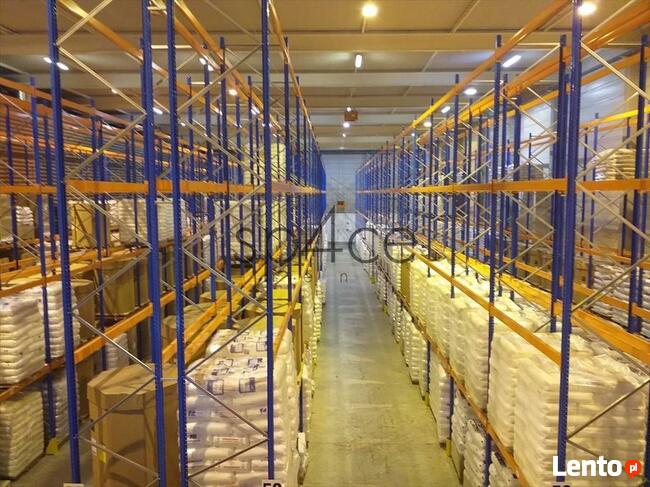 Hala/Magazyn, 7 000 m², Wola Mrokowska