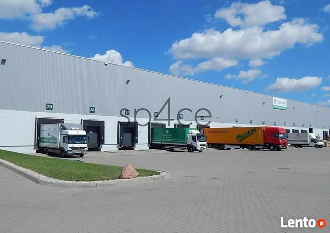 Hala/Magazyn, 4 000 m², Stryków