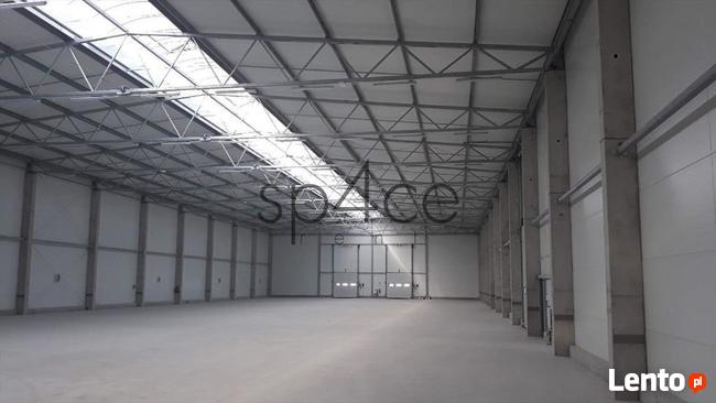 Hala/Magazyn, 8 000 m², Bydgoszcz