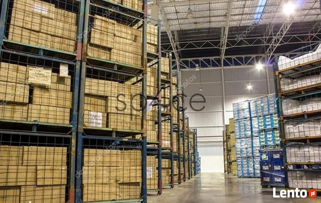 Hala/Magazyn, 12 000 m², Bydgoszcz