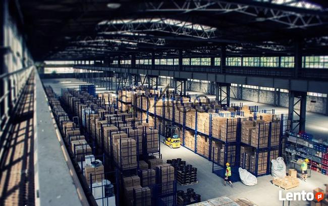 Hala/Magazyn, 2 500 m², Zielona Góra