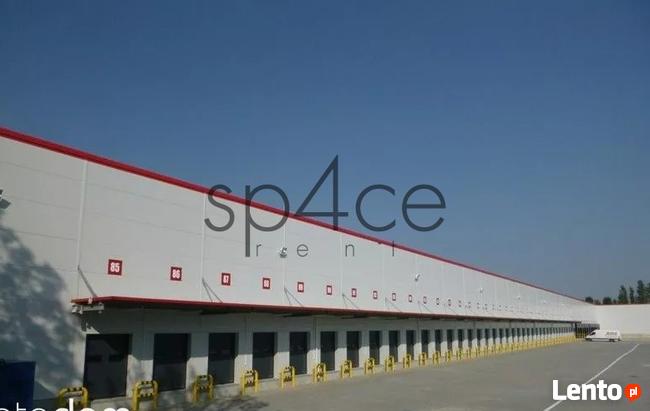 Hala/Magazyn, 8 000 m², Rzeszów