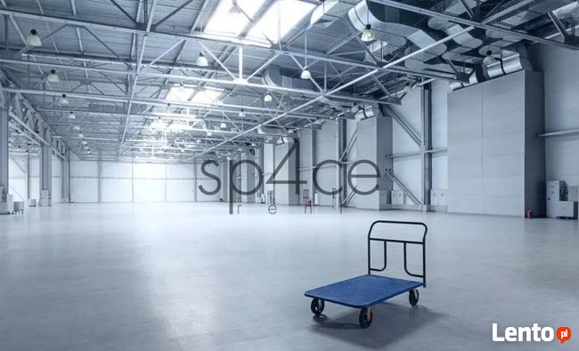 Hala/Magazyn/Warehouse, 10 000 m², Żyrardów