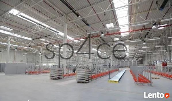 Hala/Magazyn , 2 500 m², Piotrków Trybunalski