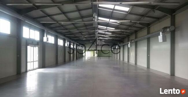Magazyn.Hala, Ożarów Mazowiecki 5000 m2 Warszawa