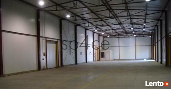 Hala. Magazyn Szczecin-Północ magazyn 1500 m2