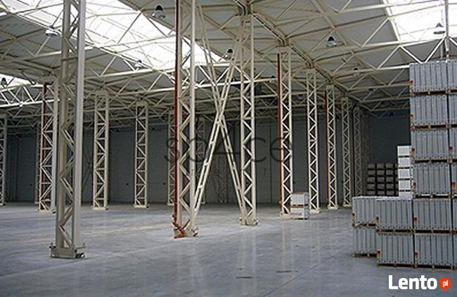 Chłodnia, Grójec, 648 m2