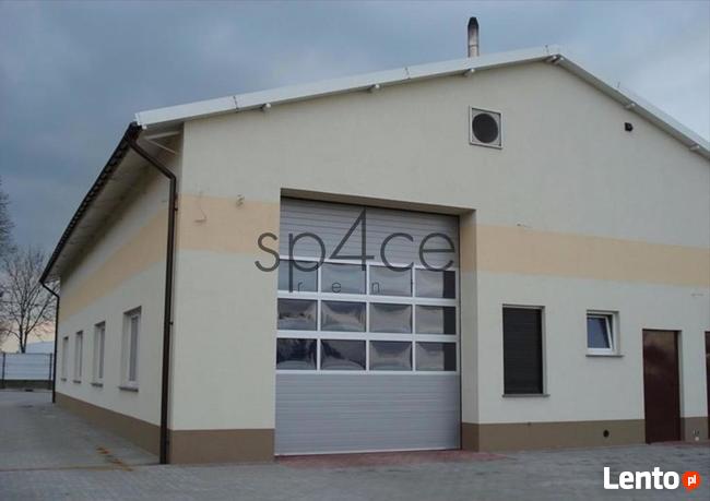 Hala. Magazyn, Łomża, 700 m2