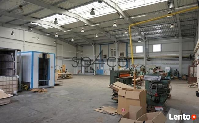 Hala.Magazyn w Piasecznie 2000 m2