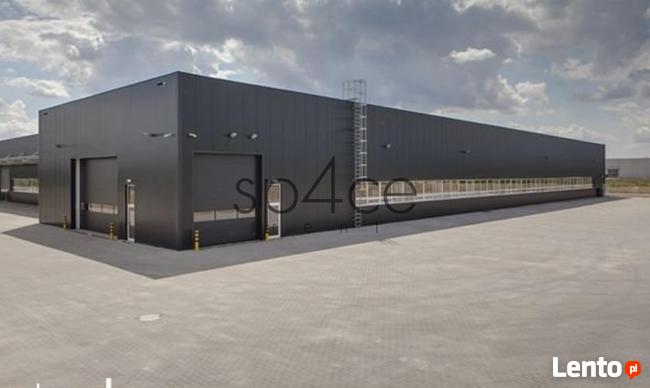Hala. Magazyn, wysoki standard, Błonie, 1128 m2