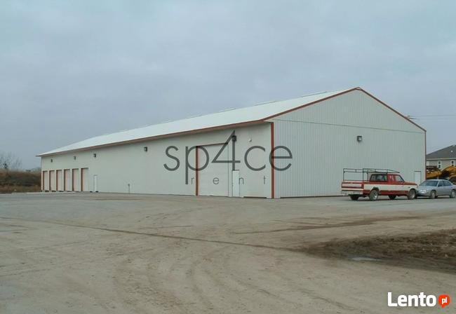 Hala. Magazyn, Ostaszewo, 650 m2