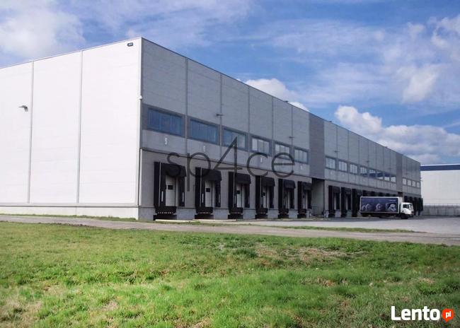 Hala. Magazyn, Błonie k/ Warszawy, 13259 m2