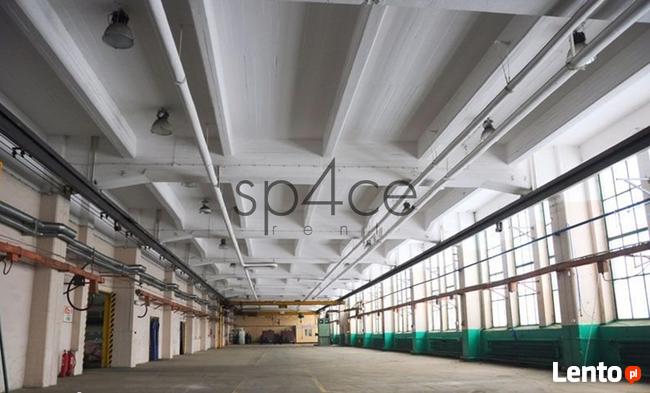 Magazyn. Hala 9000 m2 Chełm