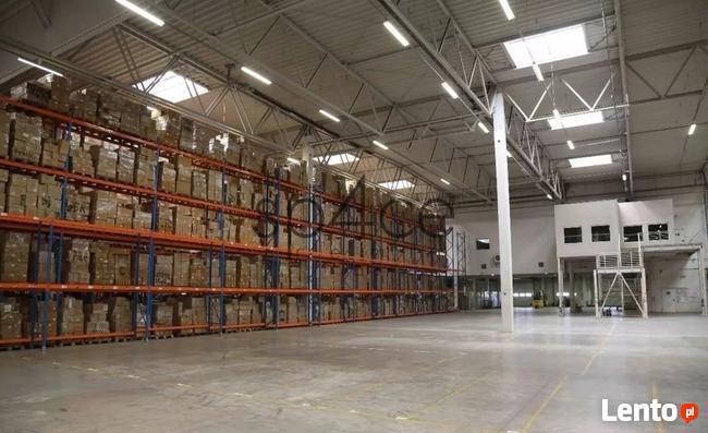 Hala. Magazyn 1000 m2, Stanowice, okolice Oławy