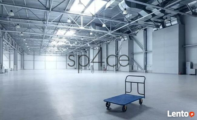 Magazyn. Hala 1450 m2, Warszawa-Białołęka