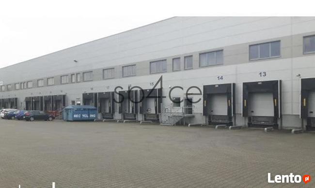 Hala. Magazyn Ząbkowice Śląskie 2000 m2