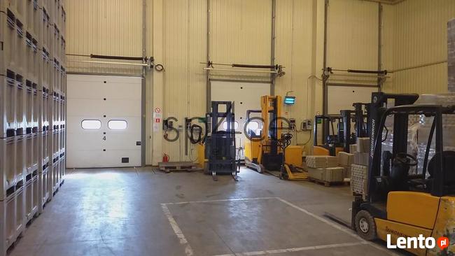 Magazyn, Okolice Piotrkowa Tryb., 525 m2