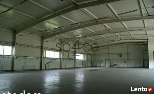 Hala. Magazyn - Warszawa Lomianki 1000 m 2