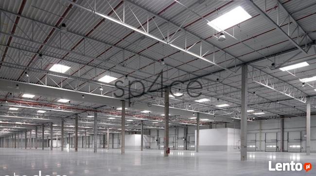 Hala magazynowa, 7100m2, Wrocław-Fabryczna