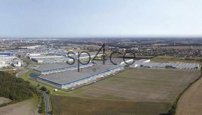 PANATTONI - Magazyn, Hala k/ Wrocław , 13259 m2