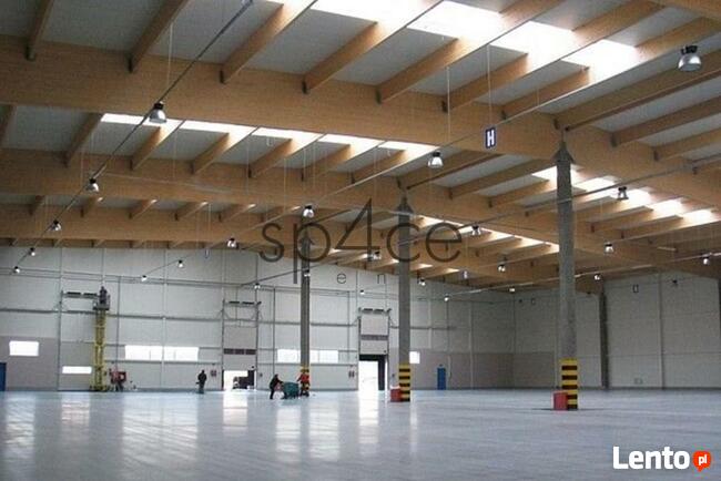 Hala. Magazyn Sulechów, 1700 m2 - Zielona Góra