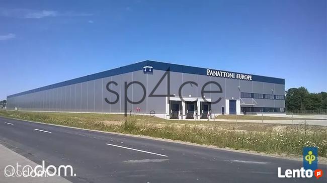 PANATTONI - Magazyn, Hala - Bydgoszcz , 21000 m