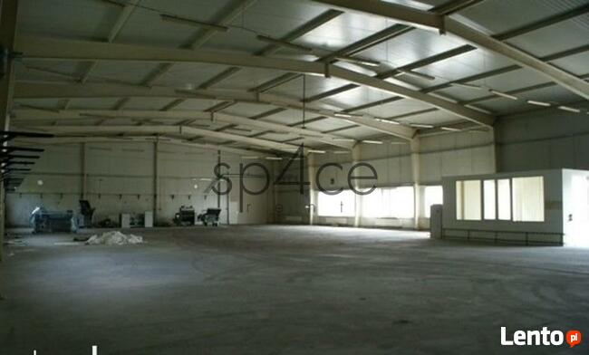 Warszawa Lomianki - Hala. Magazyn - 1000 m 2