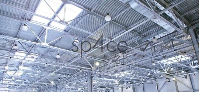 GOODMAN - Magazyn, Hala - Kraków , 4250 m2