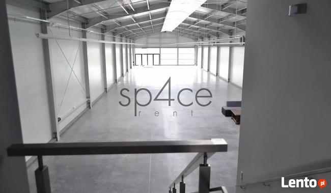 Włocławek, Powierzchnia do Wynajęcia, 16000 m2