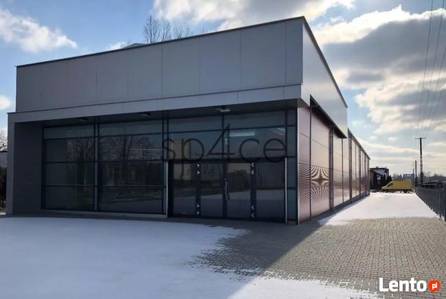 Włocławek, Powierzchnia do Wynajęcia, 16000 m2