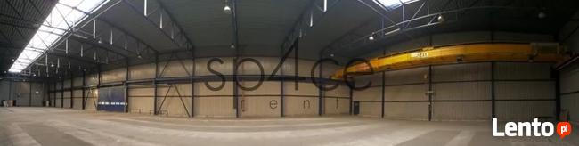 Hala.Magazyn 1000 m2 lub 1400 m2 OLSZTYN, Szczytno