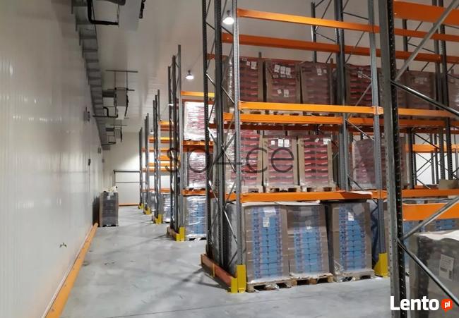 CHŁODNIA - 2300 m2 - Opole, Wrocław, Katowice NEW