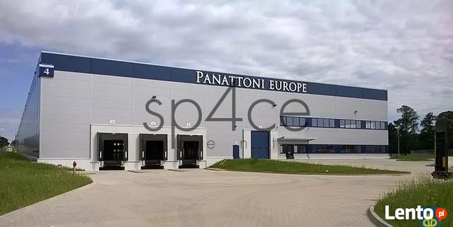 PANATTONI - Magazyn, Hala - Toruń , 4250 m2