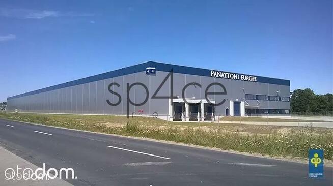 PANATTONI - Magazyn, Hala - Szczecin , 30250 m2